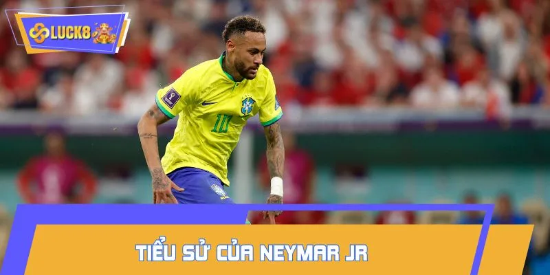 Giới thiệu đôi nét về Neymar Jr